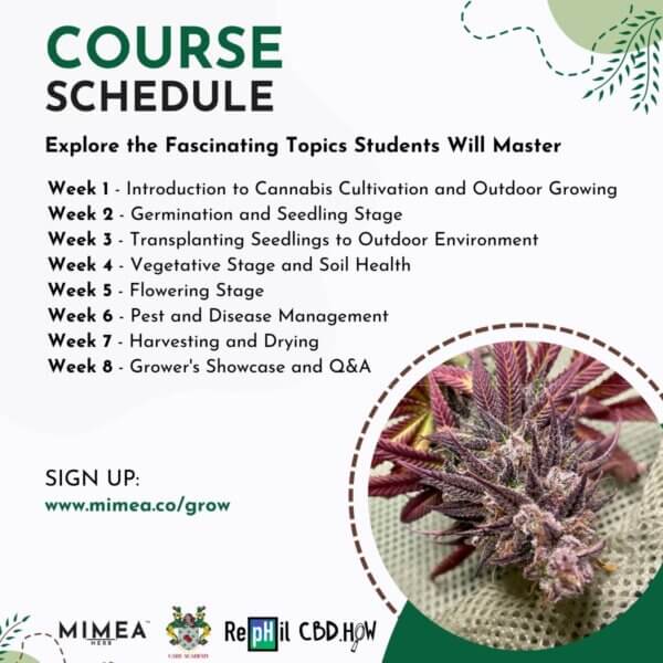 8 Week Cannabis Grow Class - Course Schedule
