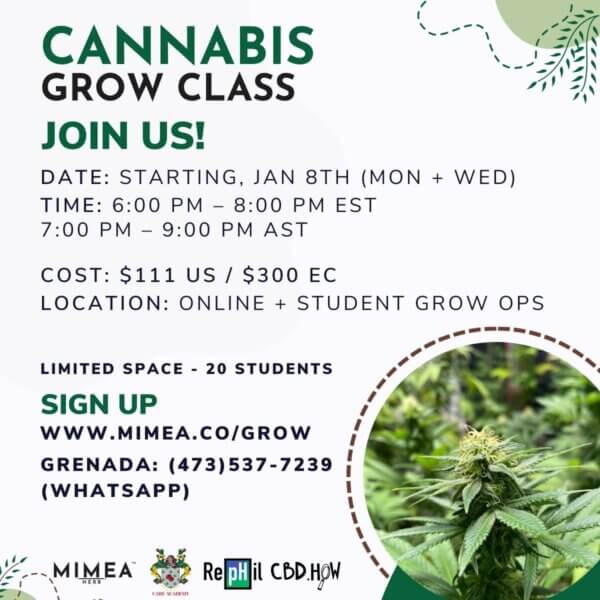 8 Week Cannabis Grow Class - Join Us