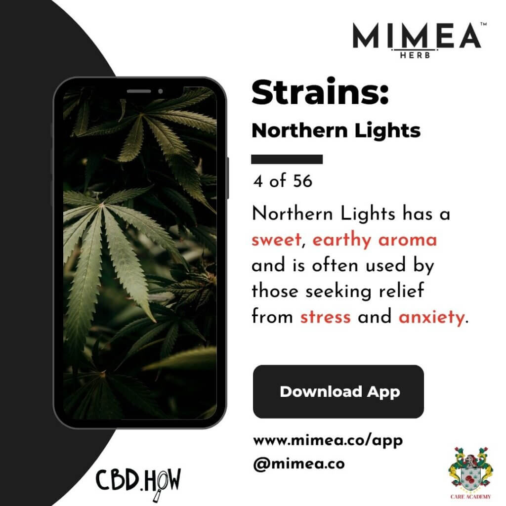 Northern Lights Cannabis Strain