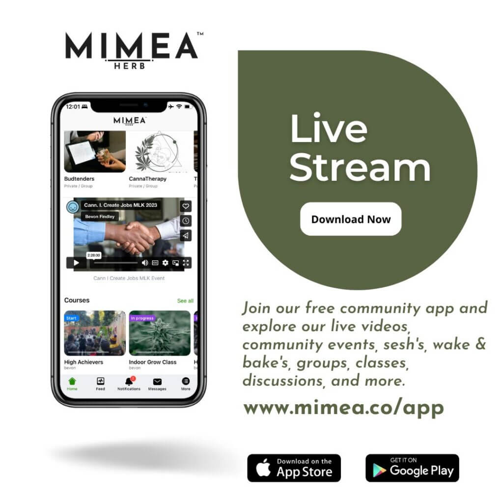 Cann I Create Products - Mimea Streaming