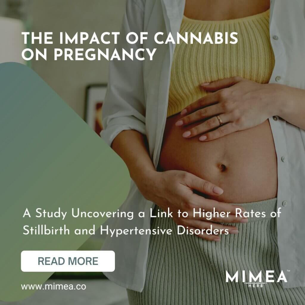 The Impact of Cannabis on Pregnancy: A Study Uncovering a Link to Higher Rates of Stillbirth and Hypertensive Disorders